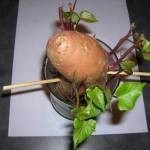 إعادة زراعة بعض الخضراوات والفواكهه في المنزل