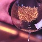 إعادة زراعة بعض الخضراوات والفواكهه في المنزل