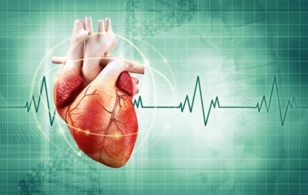 أسباب وعلاج خفقان القلب بطرق طبيعية أسباب وعلاج خفقان القلب بطرق طبيعية