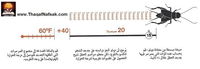 مرصد جوى مُنذ قديم الزمان !! هل الجو حار اسأل الجُدجُد مرصد جوى مُنذ قديم الزمان !! هل الجو حار اسأل الجُدجُد