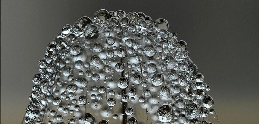مجموعة من الصور لمسابقة ناشونيل جيوجرفيك الفوتوغرافيه مجموعة من الصور لمسابقة ناشونيل جيوجرفيك الفوتوغرافيه