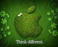 كيف تقوم بتصميم إعلان كيف تقوم بتصميم إعلان