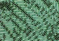 فكرة عمل شاشات LCD