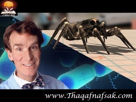 تجارب “Space lab” في الفضاء تجارب “Space lab” في الفضاء