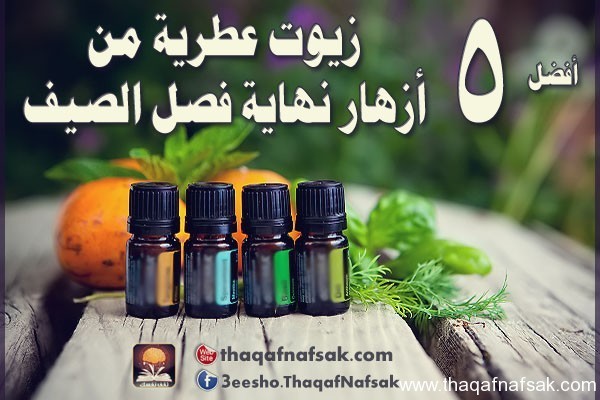 أفضل 5 زيوت عطرية من أزهار نهاية فصل الصيف أفضل 5 زيوت عطرية من أزهار نهاية فصل الصيف