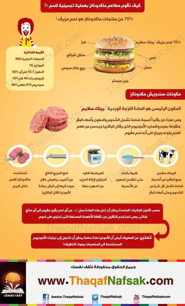 انفوجرافيك حقائق لا تعرفها عن وجبات ماكدونالز انفوجرافيك حقائق لا تعرفها عن وجبات ماكدونالز