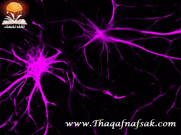 تنظيف الدماغ