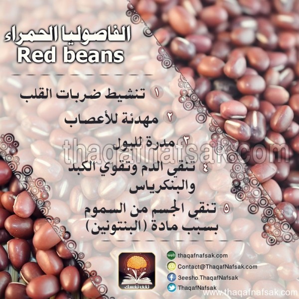 أشهر 6 أنواع من البقوليات و فوائدها أشهر 6 أنواع من البقوليات و فوائدها
