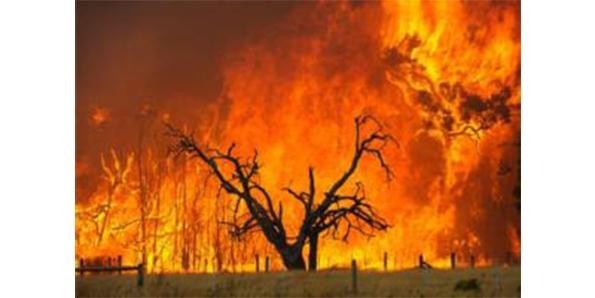 اسوأ 10 حالات جفاف في التاريخ