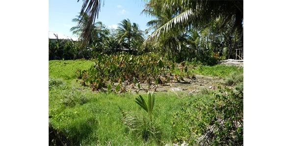 اسوأ 10 حالات جفاف في التاريخ