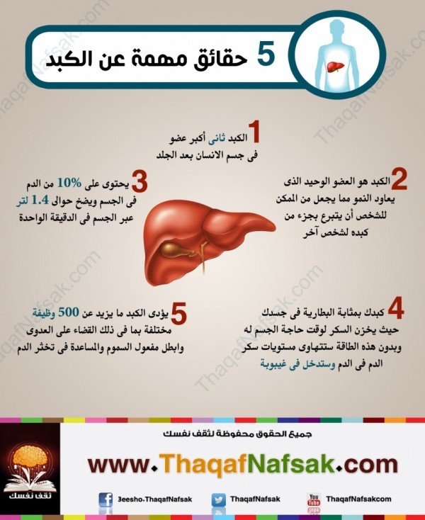 انفوجراف خمسة حقائق مهمة عن الكبد