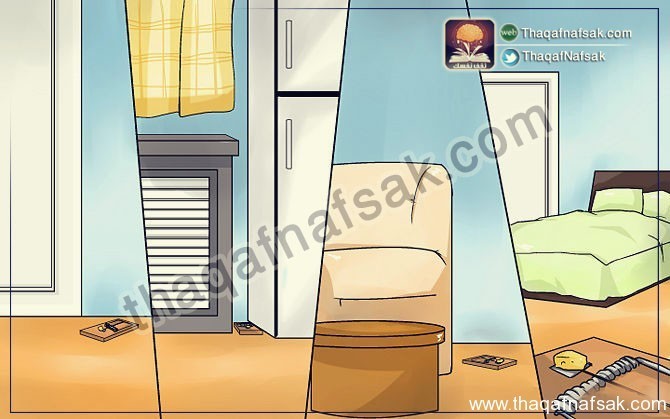 كيف تتخلص من الفئران ؟ كيف تتخلص من الفئران ؟