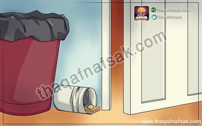 كيف تتخلص من الفئران ؟ كيف تتخلص من الفئران ؟