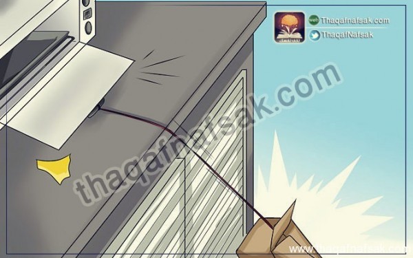 كيف تتخلص من الفئران ؟ كيف تتخلص من الفئران ؟