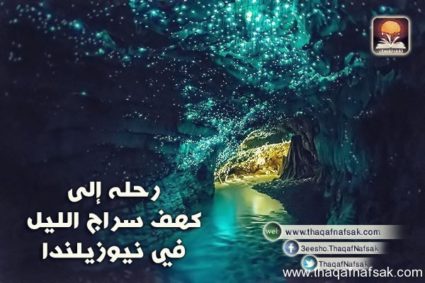 كهف سراج الليل في نيوزيلندا Waitomo Glowworm كهف سراج الليل في نيوزيلندا Waitomo Glowworm