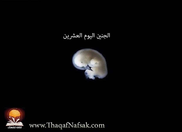 رحلة إلى عالم الخيول مُنذ ولادتها ’’ بالصور ‘‘ رحلة إلى عالم الخيول مُنذ ولادتها ’’ بالصور ‘‘