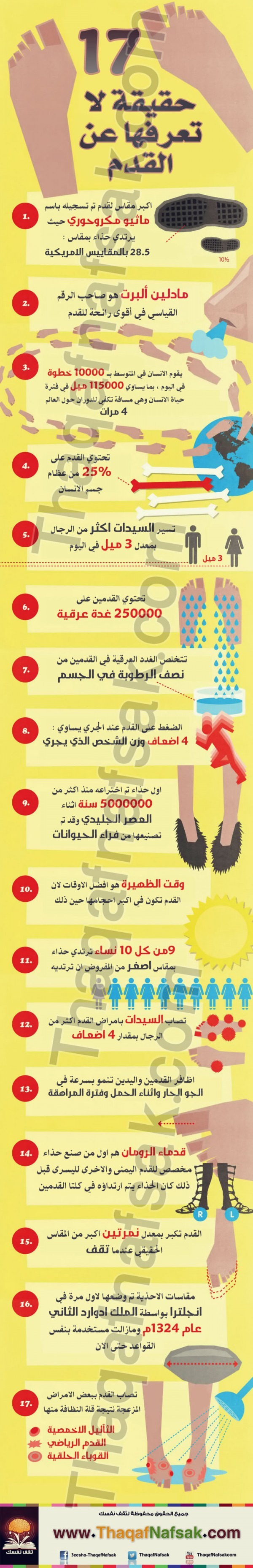 إنفوجرافيك : حقائق عن قدم الإنسان إنفوجرافيك : حقائق عن قدم الإنسان