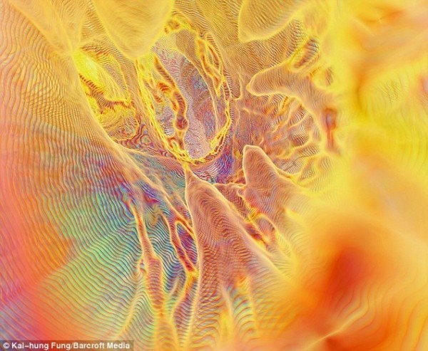 جسدك كما لم تراه من قبل ، صور بتقنية 3D.CT جسدك كما لم تراه من قبل ، صور بتقنية 3D.CT