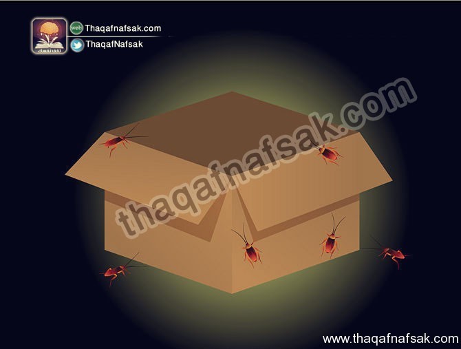كيف تتخلص من الصراصير ؟ كيف تتخلص من الصراصير ؟