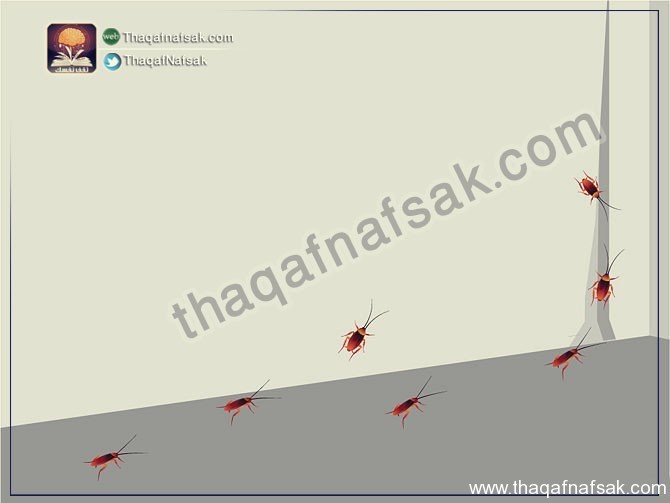 كيف تتخلص من الصراصير ؟ كيف تتخلص من الصراصير ؟