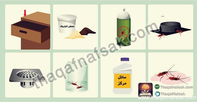 كيف تتخلص من الصراصير ؟ كيف تتخلص من الصراصير ؟