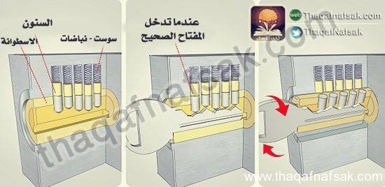 كيف تختار القفل المناسب لتأمين منزلك ؟ كيف تختار القفل المناسب لتأمين منزلك ؟