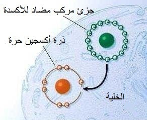 مضادات الأكسدة مضادات الأكسدة