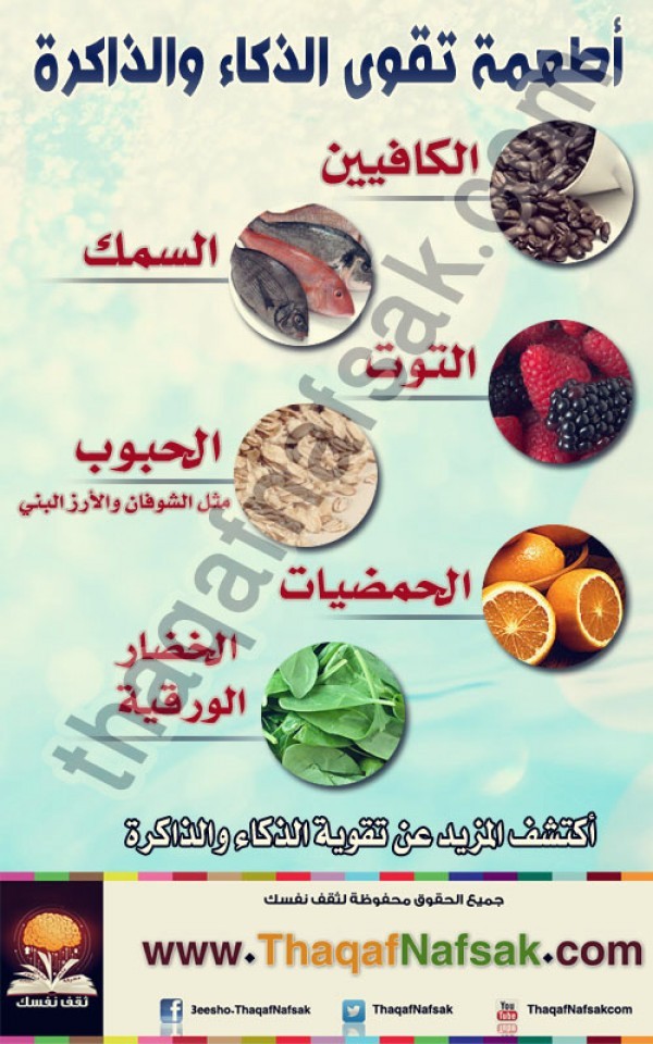 أطعمة تقوى الذكاء و الذاكرة أطعمة تقوى الذكاء و الذاكرة