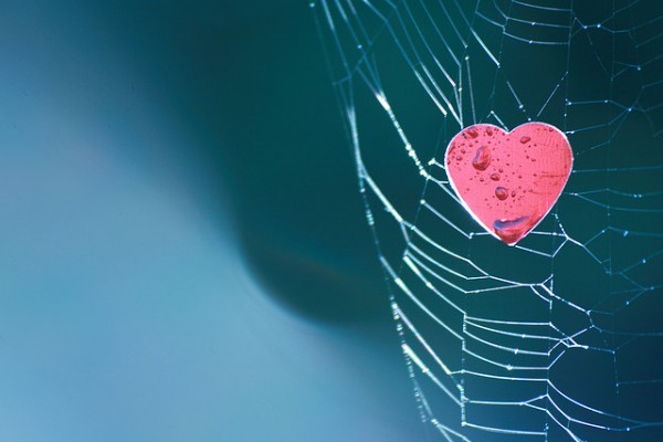 اسئلة عن الحيوانات تتبادر عل اذهاننا مُنذ صغرنا ، فما هي اجابتها ؟ اسئلة عن الحيوانات تتبادر عل اذهاننا مُنذ صغرنا ، فما هي اجابتها ؟