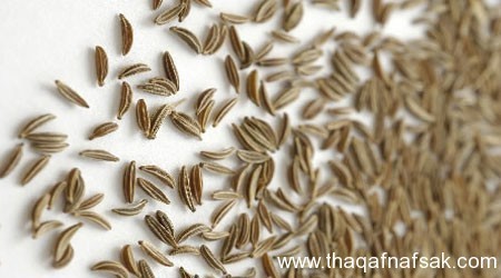 كيف تحارب الأرق وتستمتع بنوم هادئ كيف تحارب الأرق وتستمتع بنوم هادئ