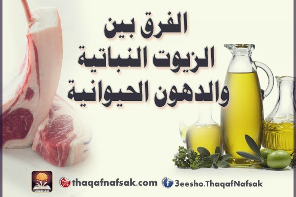 الفرق بين الزيوت النباتية والدهون الحيوانية الفرق بين الزيوت النباتية والدهون الحيوانية