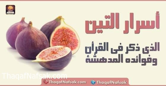فوائد التين فوائد التين