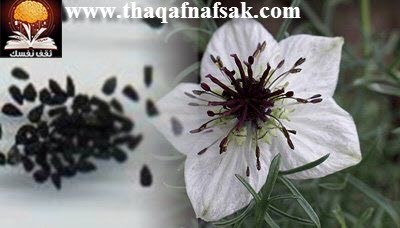 حبة البركة علاج لكل داء حبة البركة علاج لكل داء