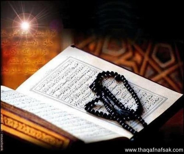 5 عادات مفيدة يجب أن تمارسها يوميًا 5 عادات مفيدة يجب أن تمارسها يوميًا