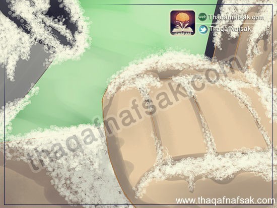 كيف تتخلص من رائحة الدخان ؟ كيف تتخلص من رائحة الدخان ؟