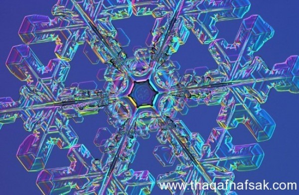عالم لا يصدق في ذرات الثلج عالم لا يصدق في ذرات الثلج