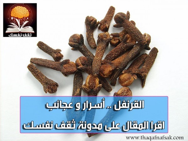 فوائد القرنفل ، أسرار وعجائب