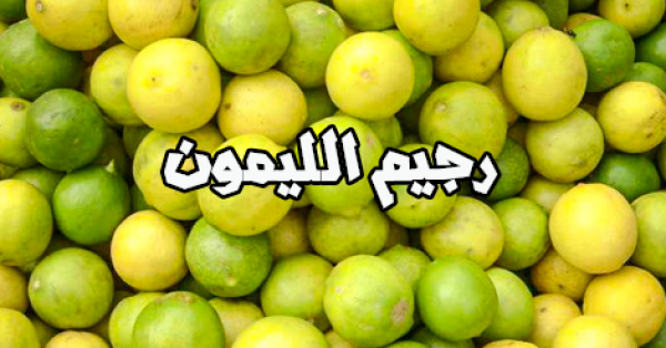 رجيم الليمون لإنقاص ٤ كيلو في الأسبوع و ١١ كيلو في الشهر رجيم الليمون لإنقاص ٤ كيلو في الأسبوع و ١١ كيلو في الشهر