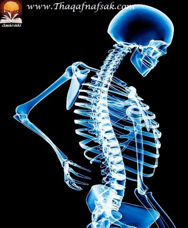 نصائح لعظام أقوى نصائح لعظام أقوى