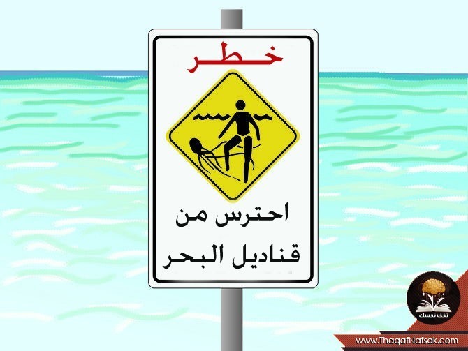 لسعة قنديل البحر كيف تتجنبها والإسعافات الأولية لها لسعة قنديل البحر كيف تتجنبها والإسعافات الأولية لها