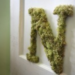 صور و خلفيات حرف n مميزة لكل من يبدأ أسمهم بحرف n