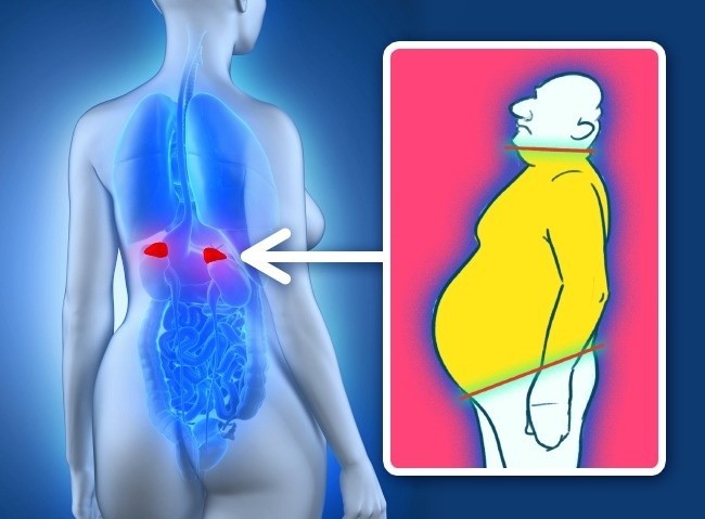 أسباب زيادة الوزن بعيداً عن النظام الغذائي أسباب زيادة الوزن بعيداً عن النظام الغذائي