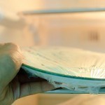 بالصور طريقة عمل اللبنة في مطبخك