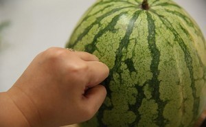 بالصور كيف تعرف البطيخ الناضج بنفسك حتي لا يخدعك التجار بالصور كيف تعرف البطيخ الناضج بنفسك حتي لا يخدعك التجار