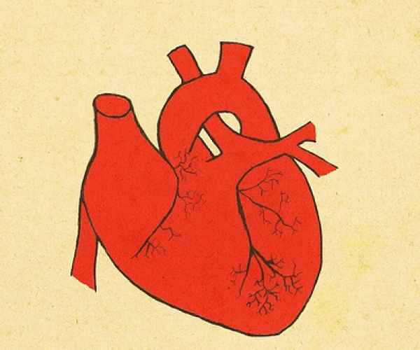 أغرب القلوب التي يمكن أن تراها في حياتك