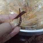 بالصور حضري الفراخ المحشية بالأرز في الفرن بالكيس الحراري