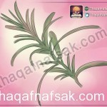 بالصور كيف تقوي ذاكرتك ” دليل و موسوعة شاملة ” لتقوية الذاكرة