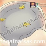 بالصور كيف تقوي ذاكرتك ” دليل و موسوعة شاملة ” لتقوية الذاكرة