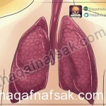 بالصور كيف تقوي ذاكرتك ” دليل و موسوعة شاملة ” لتقوية الذاكرة