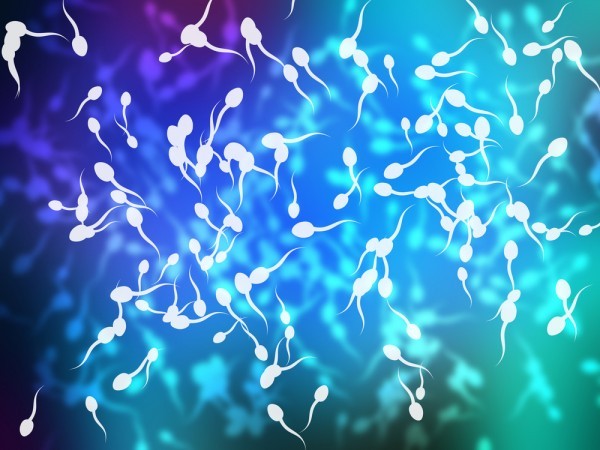 الأطعمة التي تعمل علي زيادة الحيوان المنوى عند الرجال